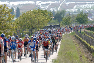 Neusiedler See Radmarathon